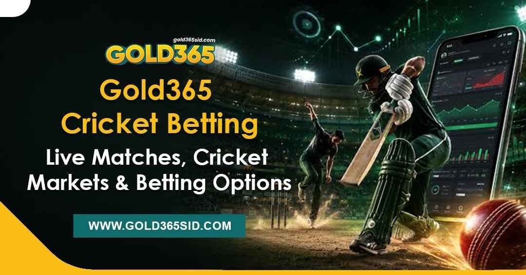 Gold365 cricket betting platform overview showing live matches and cricket betting options for beginners.