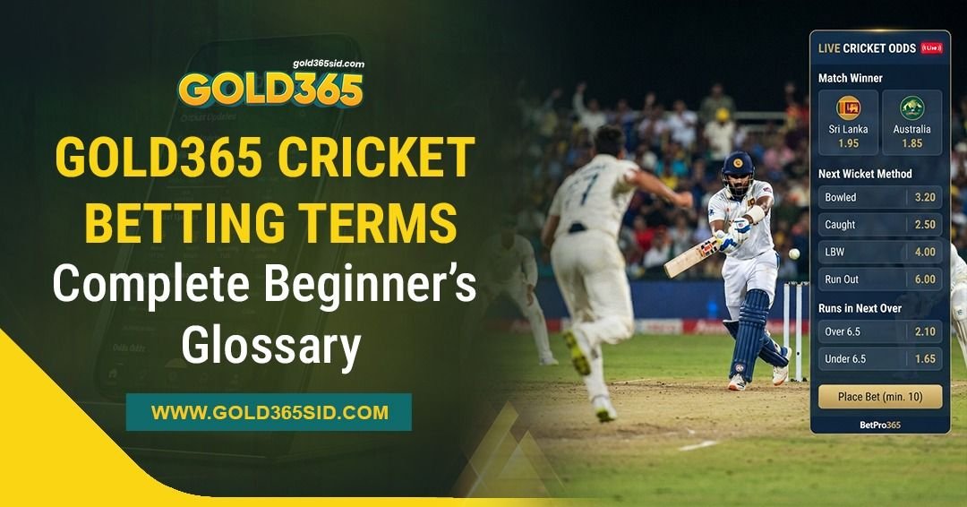 Gold365 cricket betting terms glossary explaining common odds, markets, wagers, and cricket betting terminology