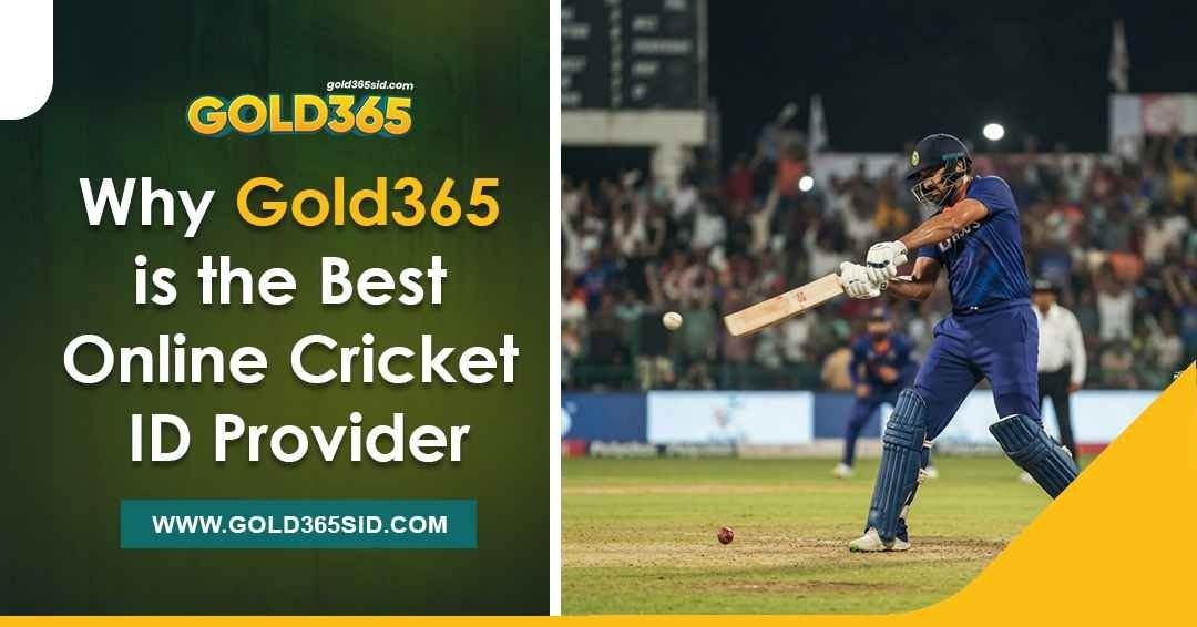 Gold365 online cricket ID provider platform overview and user experience